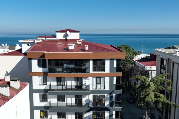 lotusakyuz-lotus-okman-apt-5